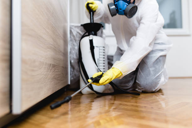 Pest Prevention Services in Murphys, CA