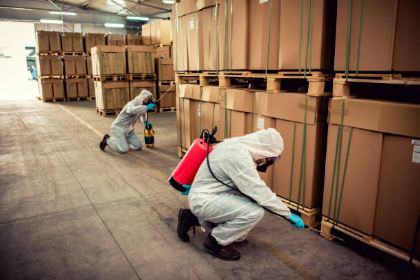 Best Mosquito Control Services  in Murphys, CA