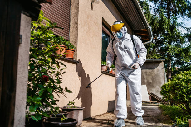Best Pest Removal Services  in Murphys, CA