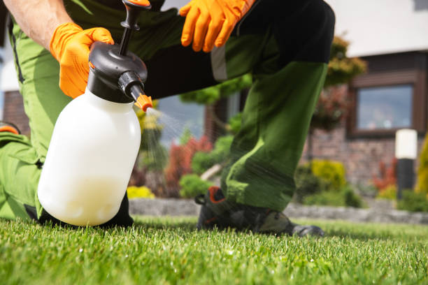 Pest Control Cost in Murphys, CA