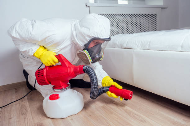 Best Pest Control Treatment  in Murphys, CA