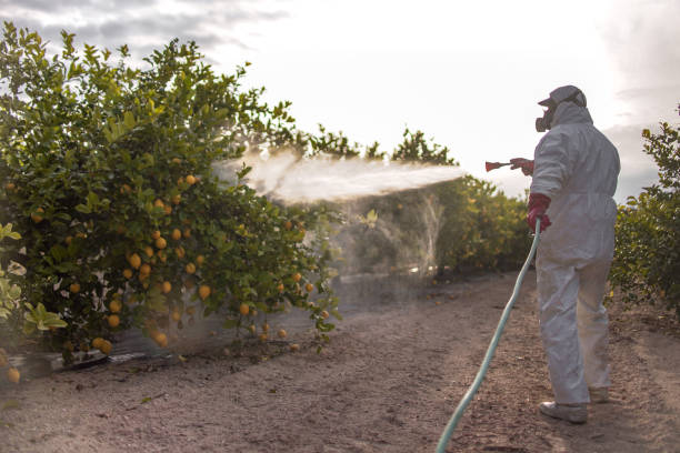 Best Exterminator Services  in Murphys, CA