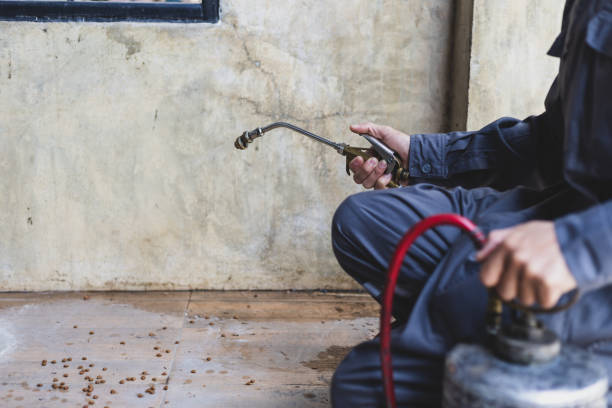 Best Pest Control Near Me  in Murphys, CA